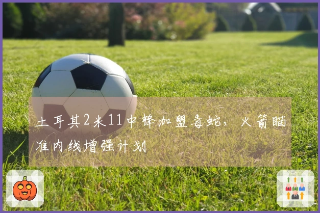 土耳其2米11中锋加盟毒蛇，火箭瞄准内线增强计划